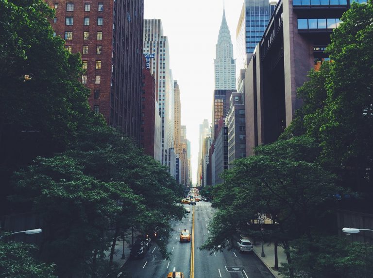 a street with trees and buildings