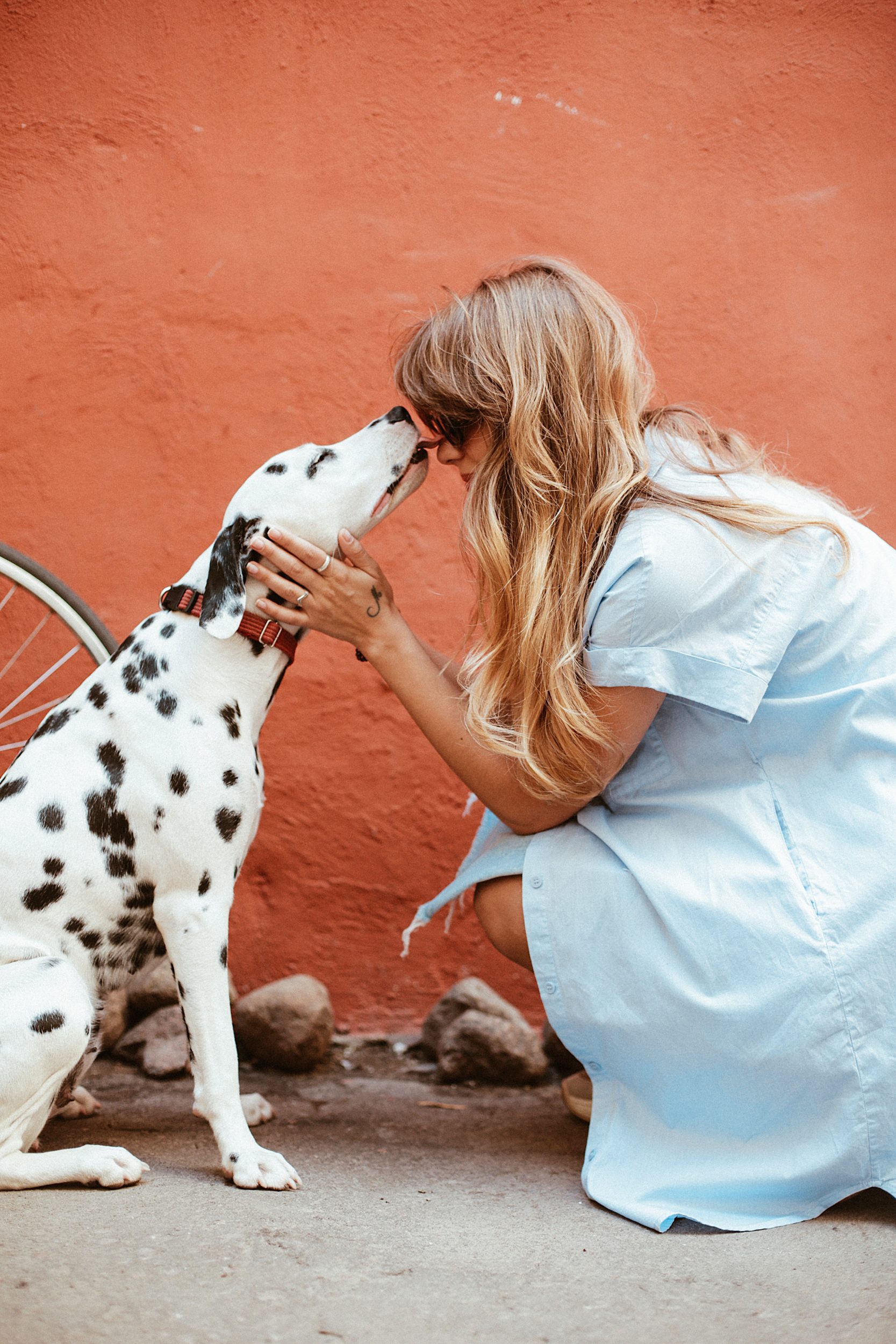 How to find a great pet-sitter