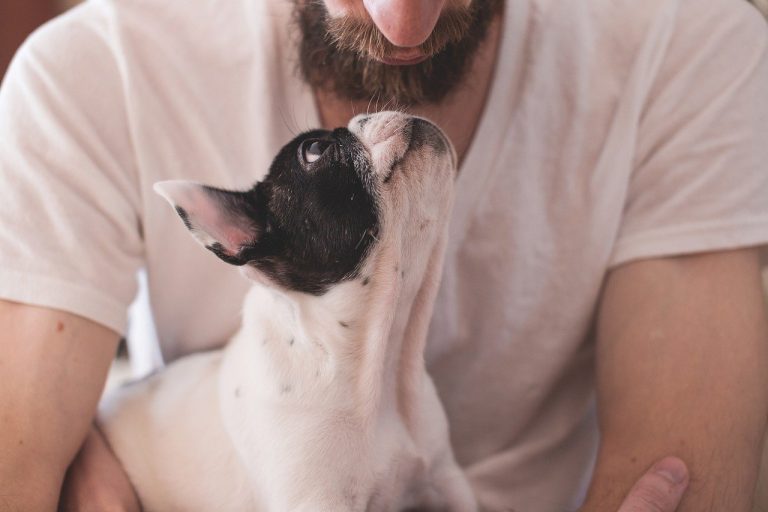 a man holding a dog