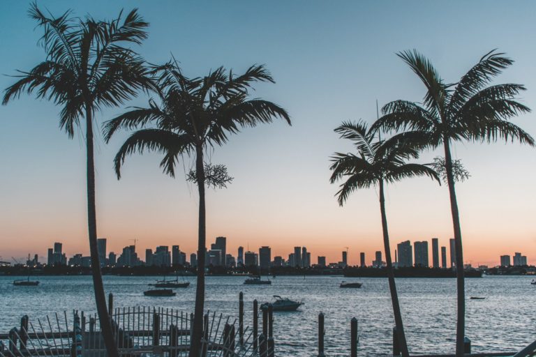 a body of water with palm trees and buildings in the background